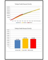 KARADENİZ İHRACATÇILAR BİRLİĞİ OCAK AYI FINDIK İHRACAT BÜLTENİ