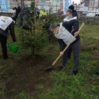 Başkanımız Mustafa Uslu Ünye orman işletme müdürlüğünce gerçekleştirilen Yanan ormanlar küllerinden doğuyor programına katıldı.